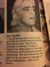 Flair racist.jpg