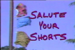 SaluteYOurShorts